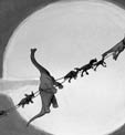 Cretaceous Christmas